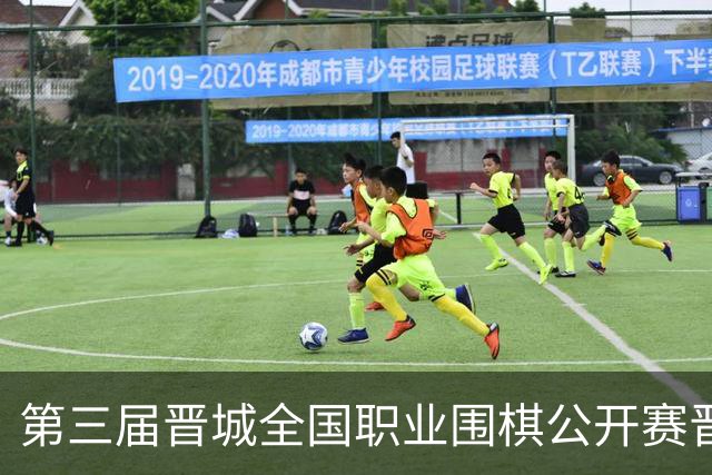 第三届晋城全国职业围棋公开赛晋城开幕